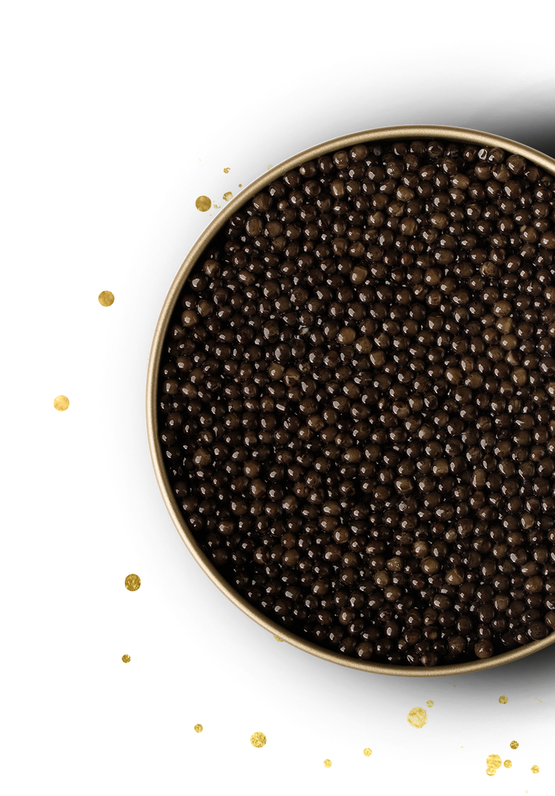 geoffrey-nejman-caviar-de luxe-